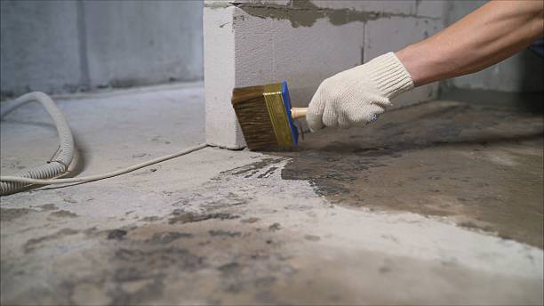 SJ Waterproofing Pros Waterproofing coverage map for Brookwood, AL and surrounding area